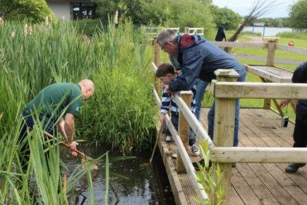 Pond_Dipping_2