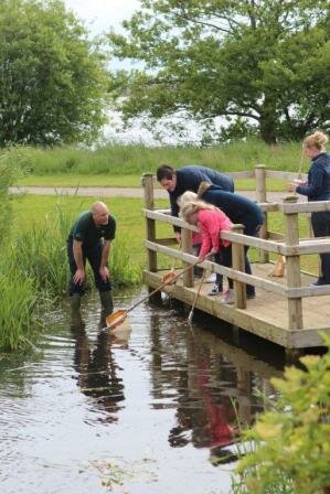 Pond_Dipping_3